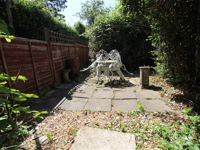 Picture 9
